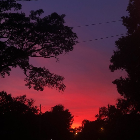 Meet your Posher, Cheyanne - Picture 1 of 1